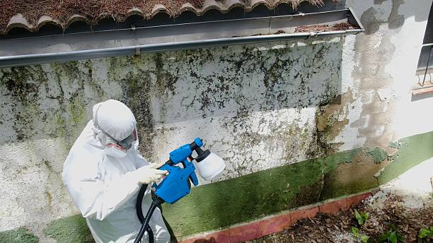 Top rated local Attic Mold Remediation specialists in Remington, VA